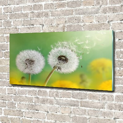 Foto plexiglas Paardenbloemen
