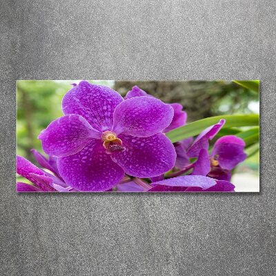 Foto in plexiglas Orchidee