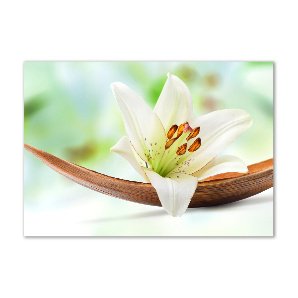 Schilderij op acrylglas Lelie