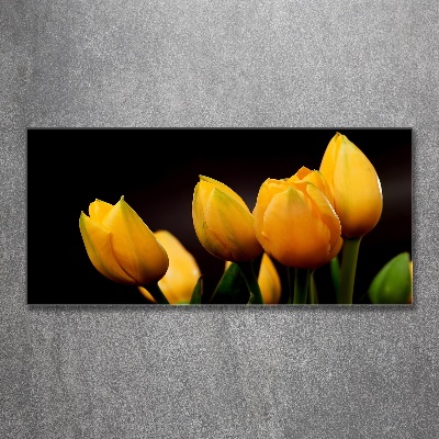 Foto op plexiglas Gele tulpen
