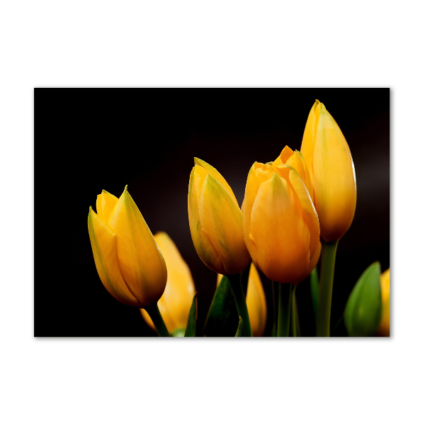 Foto op plexiglas Gele tulpen