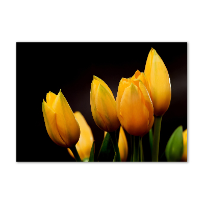 Foto op plexiglas Gele tulpen