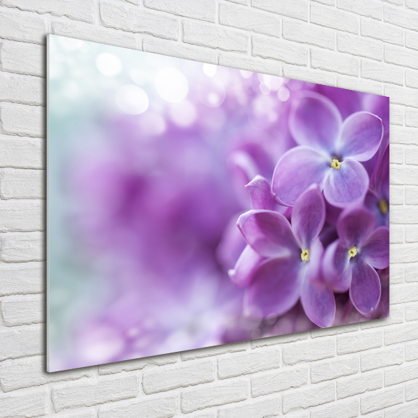 Plexiglas foto Seringbloemen
