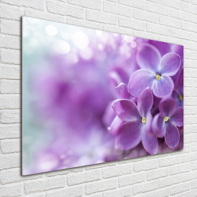 Plexiglas foto Seringbloemen