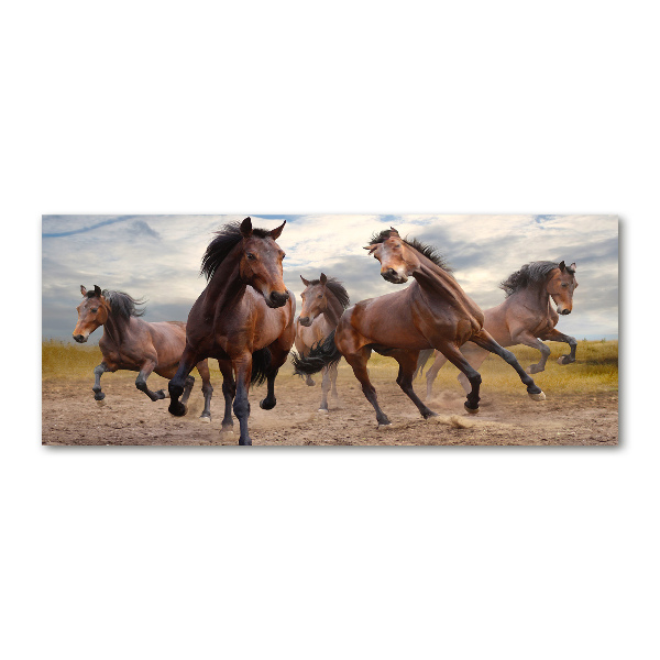 Foto in plexiglas Vijf paarden