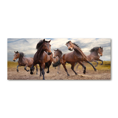 Foto in plexiglas Vijf paarden