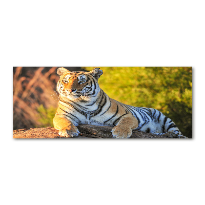 Plexiglas schilderij Portret van een tijger