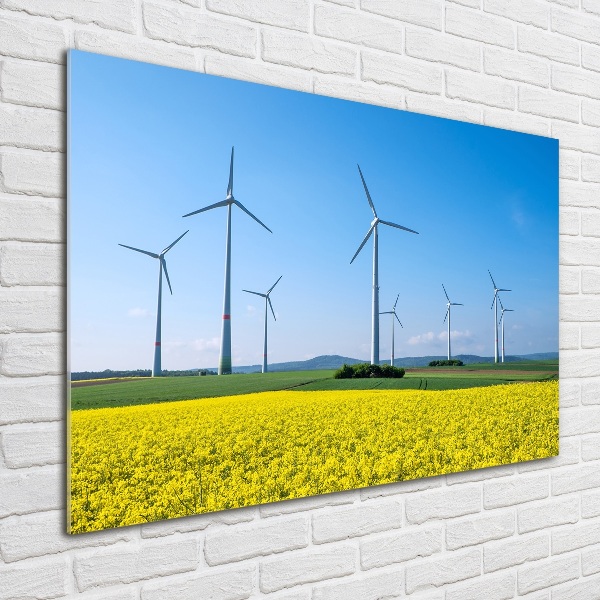 Schilderij op acrylglas Windmolens in het veld