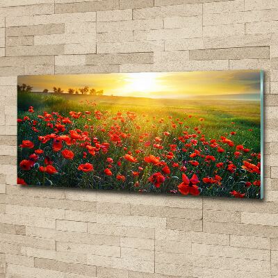 Plexiglas schilderij Klaprozenveld