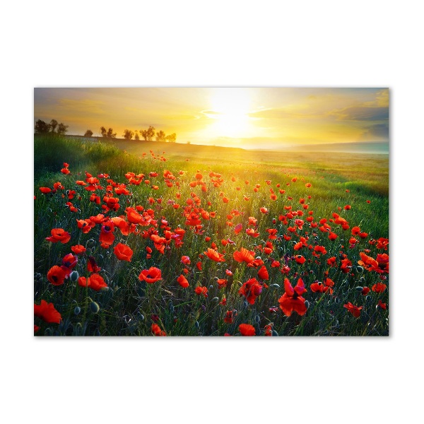 Plexiglas schilderij Klaprozenveld