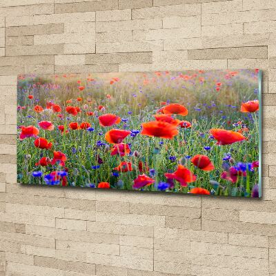 Foto in plexiglas Wilde bloemen
