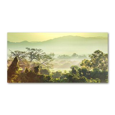 Plexiglas schilderij jungle