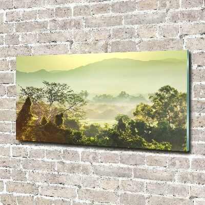 Plexiglas schilderij jungle