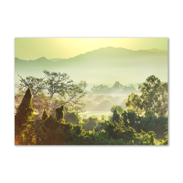 Plexiglas schilderij jungle