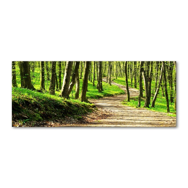 Foto op plexiglas Pad in het bos