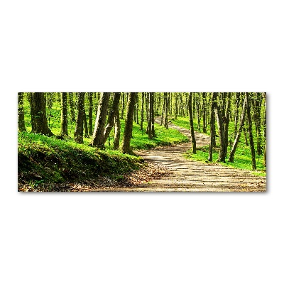 Foto op plexiglas Pad in het bos