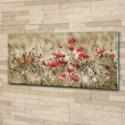 Plexiglas schilderij Klaprozen