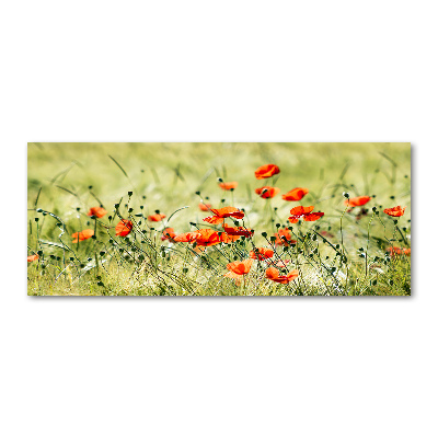 Foto plexiglas Klaprozen