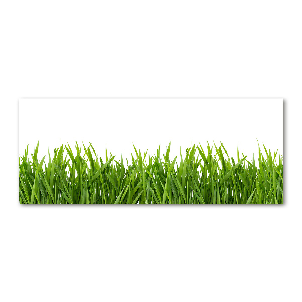 Schilderij op acrylglas Gras