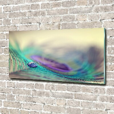 Foto op plexiglas Een druppel op een veer