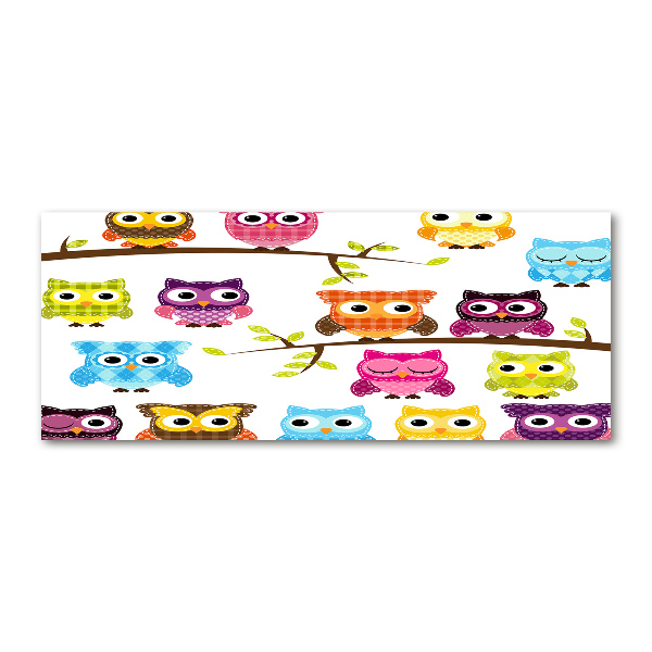 Foto op plexiglas Kleurrijke uilen