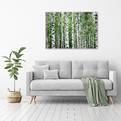 Foto plexiglas Berken