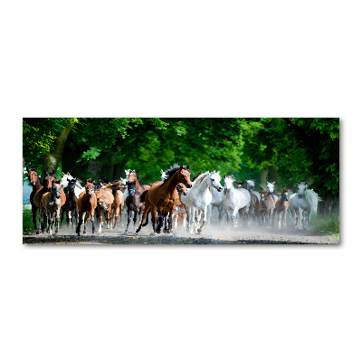 Foto plexiglas Paarden in galop