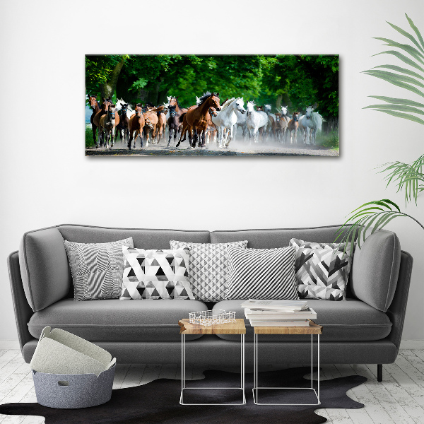 Foto plexiglas Paarden in galop
