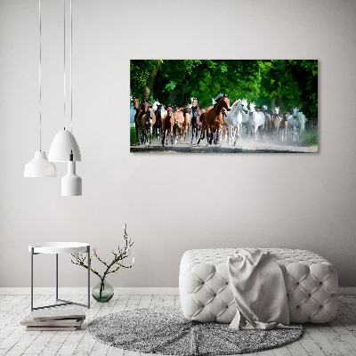 Foto plexiglas Paarden in galop