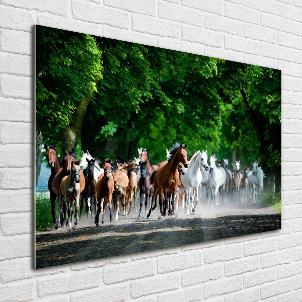 Foto plexiglas Paarden in galop
