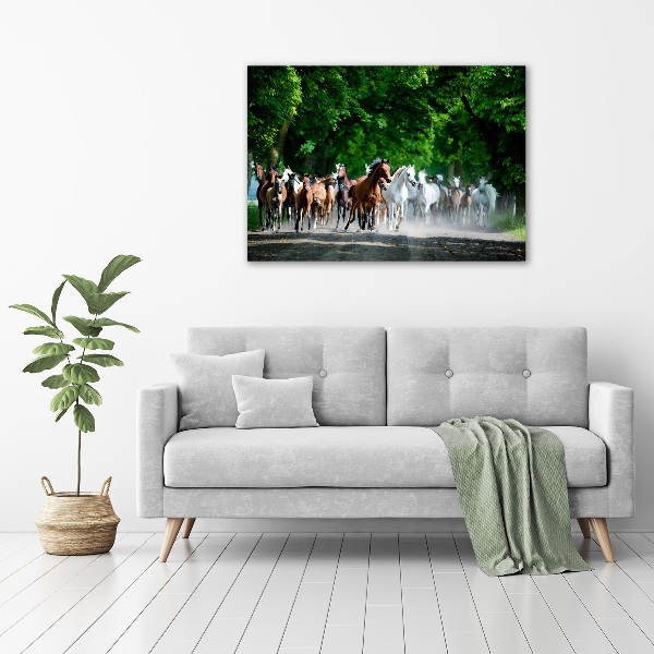Foto plexiglas Paarden in galop