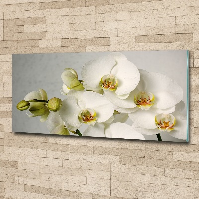 Schilderij op acrylglas Witte orchidee
