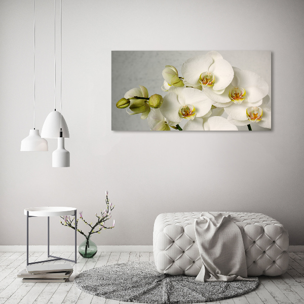 Schilderij op acrylglas Witte orchidee