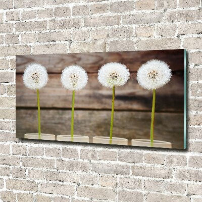 Foto op plexiglas Paardenbloemen