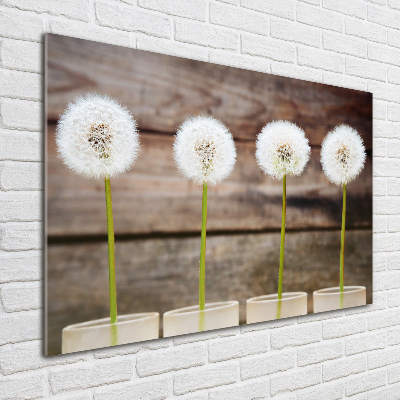 Foto op plexiglas Paardenbloemen