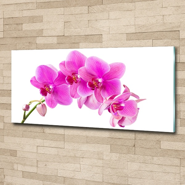 Plexiglas foto Roze orchidee