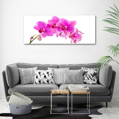 Plexiglas foto Roze orchidee