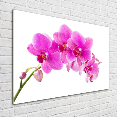 Plexiglas foto Roze orchidee