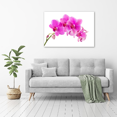 Plexiglas foto Roze orchidee