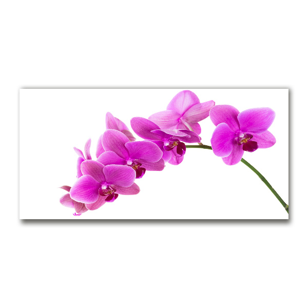 Foto in plexiglas Roze orchidee
