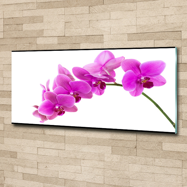 Foto in plexiglas Roze orchidee