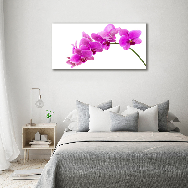 Foto in plexiglas Roze orchidee