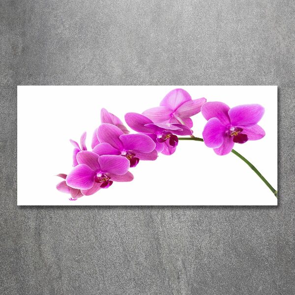 Foto in plexiglas Roze orchidee