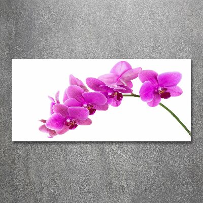 Foto in plexiglas Roze orchidee