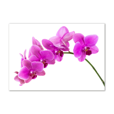 Foto in plexiglas Roze orchidee