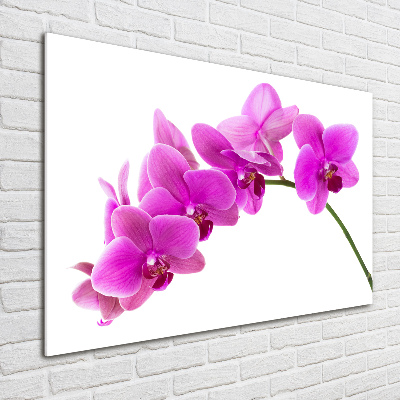 Foto in plexiglas Roze orchidee