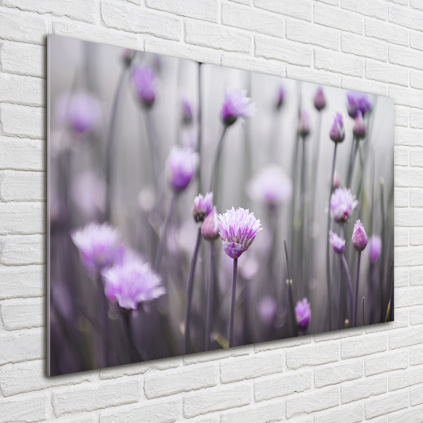 Schilderij op acrylglas Bieslookbloemen