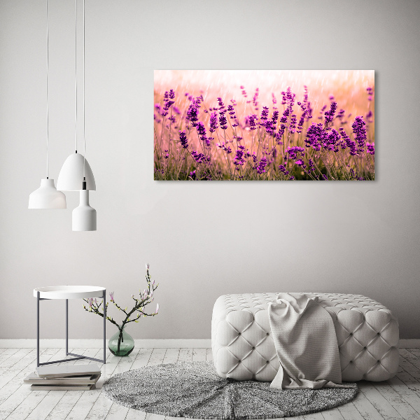 Foto op plexiglas Lavendel
