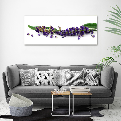 Plexiglas foto Lavendel