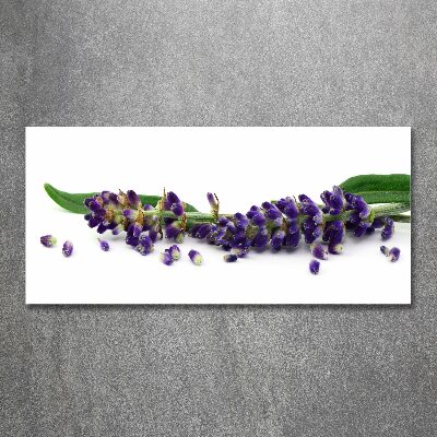 Plexiglas foto Lavendel